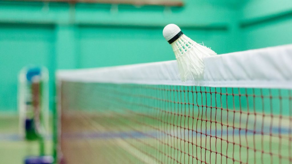 Can You Use a Badminton Net for Pickleball